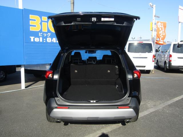 ＲＡＶ４ ハイブリッドアドベンチャー　純正ナビゲーション　デジタルインナーミラー　ブルートゥース　パノラミックビュー　パワーバックドア　ＥＴＣ　トヨタセーフティセンス（59枚目）