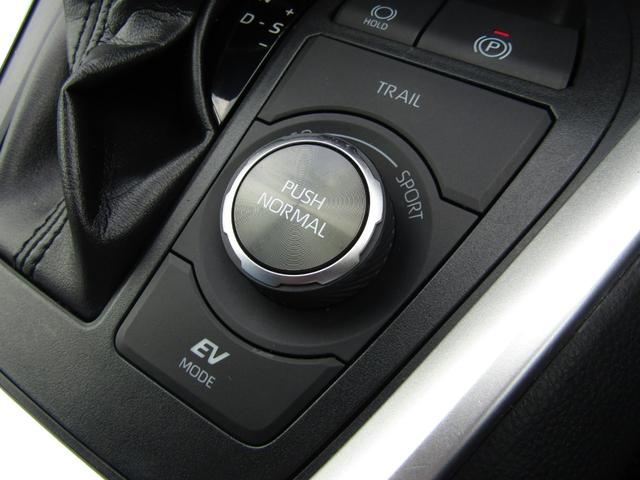 ＲＡＶ４ ハイブリッドアドベンチャー　オフロードパッケージＩＩ　１０．５型ナビ　地デジ　ＢＴオーディオ　パノラマビュー　デジタルインナーミラー　ベンチレーションシート　パワーバックドア　セーフティーセンス　ＬＥＤヘッドライト　ＥＴＣ　ハーフレザー（45枚目）