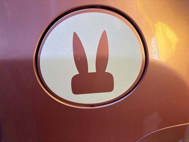 アルトラパン Ｘ　クラリオン製ＨＤＤナビ・ＴＶ・ＤＶＤ・ＣＤ・ＥＴＣ・インパネＣＶＴ・車検令和８年１０月・白スポイラー・１４インチ白アルミホイール・ベンチシート・フォグランプ・スマートキー・ＬＥＤライト（42枚目）