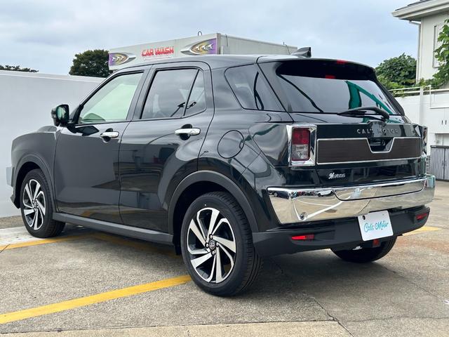 ライズ Cal’sMotorプロデュース HAVANA レーダークルーズ ブレーキホールド セーフティードライブ(スマアシ) バックカメラ(10枚目)