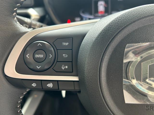 ライズ Cal’sMotorプロデュース HAVANA レーダークルーズ ブレーキホールド セーフティードライブ(スマアシ) バックカメラ(19枚目)