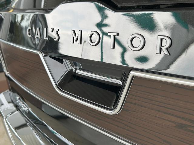 ライズ Cal’sMotorプロデュース HAVANA レーダークルーズ ブレーキホールド セーフティードライブ(スマアシ) バックカメラ(23枚目)