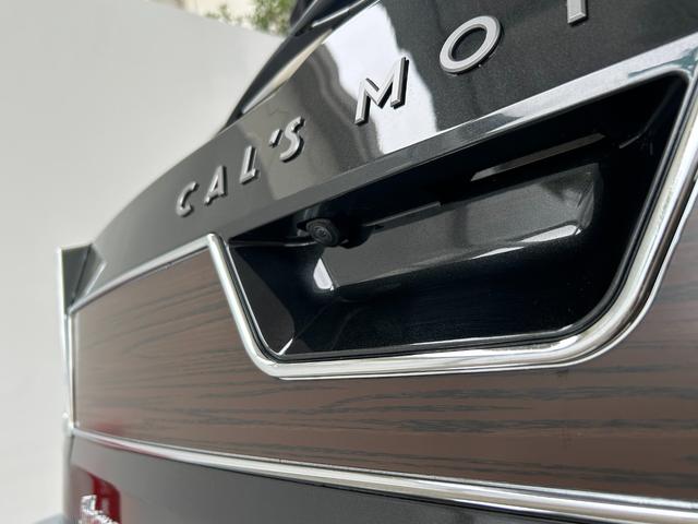 ライズ Cal’sMotorプロデュース HAVANA レーダークルーズ ブレーキホールド セーフティードライブ(スマアシ) バックカメラ(25枚目)