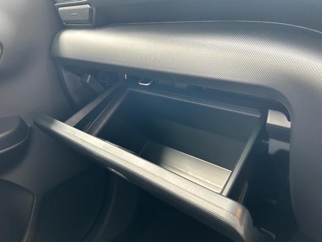 ライズ Cal’sMotorプロデュース HAVANA レーダークルーズ ブレーキホールド セーフティードライブ(スマアシ) バックカメラ(33枚目)