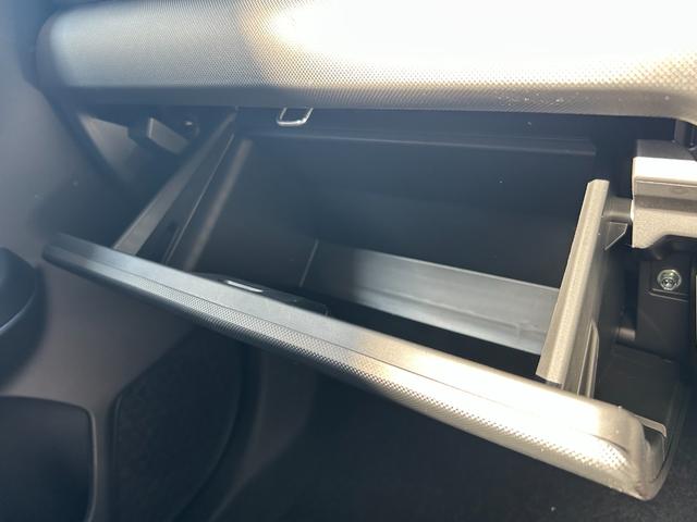 ライズ Z Cal’sMotorプロデュース HAVANA  バックカメラ 社外ブラック16インチホイール レーダークルーズ シートヒーター(運転席・助手席) セーフティードライブ(28枚目)