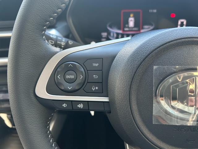 ライズ Z Cal’sMotorプロデュース HAVANA  バックカメラ 社外ブラック16インチホイール レーダークルーズ シートヒーター(運転席・助手席) セーフティードライブ(29枚目)