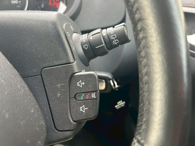 カングー パナシェ　バックカメラ　ナビ　ＴＶ　両側スライドドア　キーレスエントリー　電動格納ミラー　ＡＴ　ルーフレール　ＣＤ　ＵＳＢ　Ｂｌｕｅｔｏｏｔｈ　盗難防止システム　ＡＢＳ　ＥＳＣ　エアコン　パワーステアリング（14枚目）