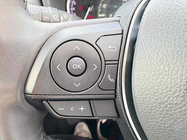 ＲＡＶ４ Ｇ　４ＷＤ　ドライブレコーダー　ＥＴＣ　バックカメラ　クリアランスソナー　オートクルーズコントロール　レーンアシスト　パワーシート　衝突被害軽減システム　ナビ　ＴＶ　オートマチックハイビーム　オートライト（4枚目）