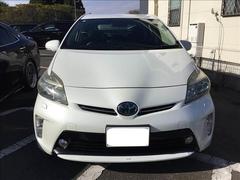 �ץꥦ�� �ӡ��ȥġ���󥰥��쥯������ 0520511A20251212D001 2