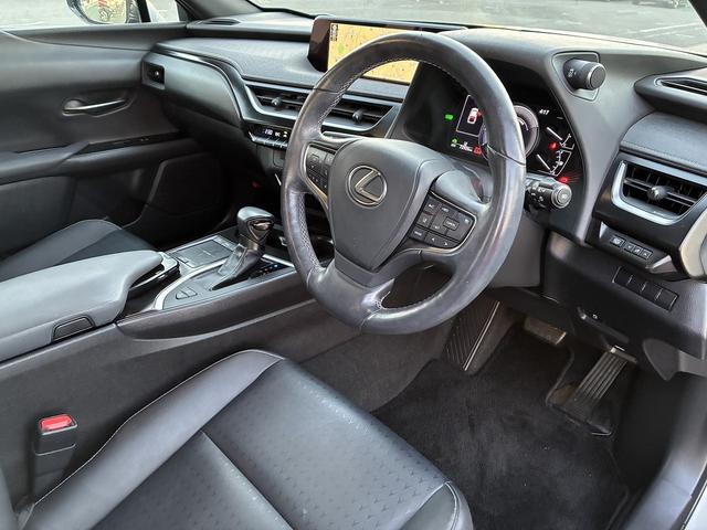 UX UX250h バージョンC 純正ナビ 衝突軽減 レーンキープアシスト フルセグTV CD DVD Bluetooth接続 バックカメラ ETC クルーズコントロール シートヒーター LED パワーシート ハンドルヒーター(24枚目)