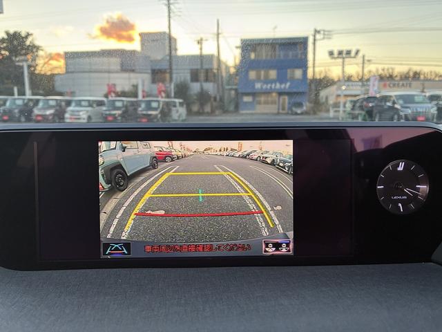 UX UX250h バージョンC 純正ナビ 衝突軽減 レーンキープアシスト フルセグTV CD DVD Bluetooth接続 バックカメラ ETC クルーズコントロール シートヒーター LED パワーシート ハンドルヒーター(27枚目)