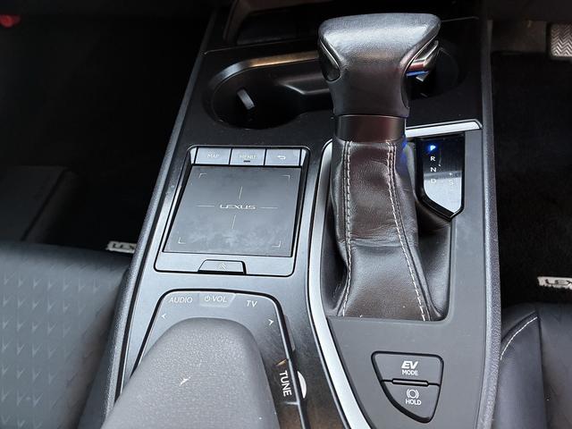 UX UX250h バージョンC 純正ナビ 衝突軽減 レーンキープアシスト フルセグTV CD DVD Bluetooth接続 バックカメラ ETC クルーズコントロール シートヒーター LED パワーシート ハンドルヒーター(29枚目)