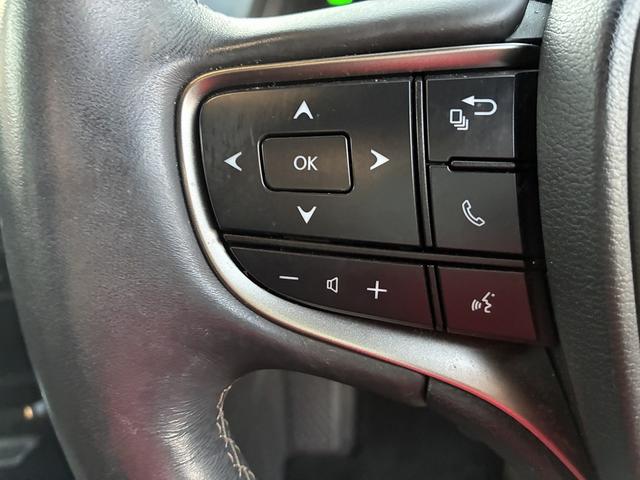 UX UX250h バージョンC 純正ナビ 衝突軽減 レーンキープアシスト フルセグTV CD DVD Bluetooth接続 バックカメラ ETC クルーズコントロール シートヒーター LED パワーシート ハンドルヒーター(32枚目)