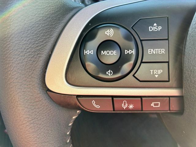 トール カスタムＧ　ナビ　フルセグＴＶ　　ＣＤ　ＤＶＤ　Ｂｌｕｅｔｏｏｔｈ　全周囲カメラ　ＥＴＣ　スマートキー　クルーズコントロール　両側電動スライドドア　純正アルミホイール（30枚目）