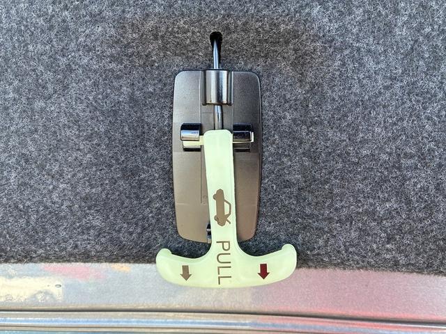 スカイライン ＧＴ　タイプＰ　ＳＤナビゲーションシステム　フルセグテレビ　ＣＤ　ＵＳＢ　スマートキー　プッシュスタート　ＥＴＣ　クルーズコントロール　前席シートヒーター　運転席パワーシート　電動格納ドアミラー　ＬＥＤヘッドライト（20枚目）