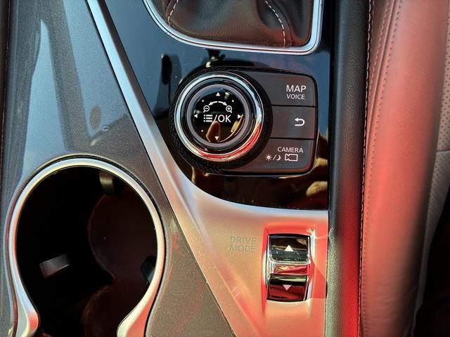 スカイライン ＧＴ　タイプＰ　ＳＤナビゲーションシステム　フルセグテレビ　ＣＤ　ＵＳＢ　スマートキー　プッシュスタート　ＥＴＣ　クルーズコントロール　前席シートヒーター　運転席パワーシート　電動格納ドアミラー　ＬＥＤヘッドライト（32枚目）