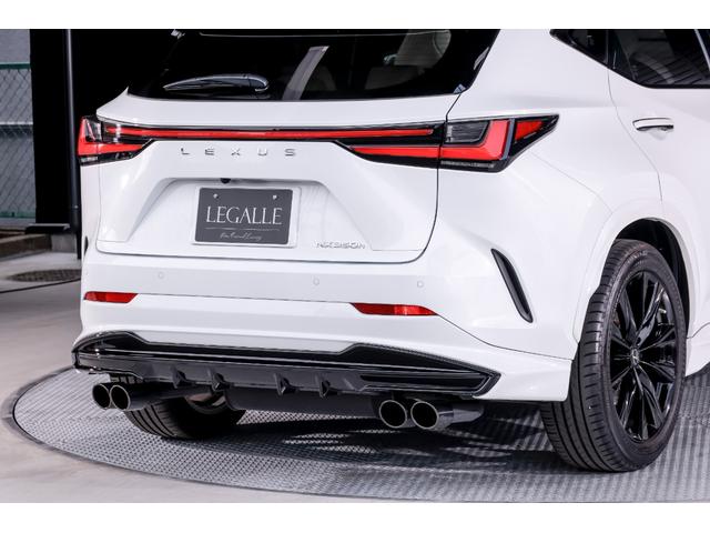 ＮＸ ＮＸ３５０ｈ　Ｆスポーツ（49枚目）