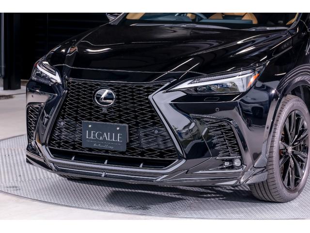 �X�s���h�O�����i���b�V���^�C�v�j