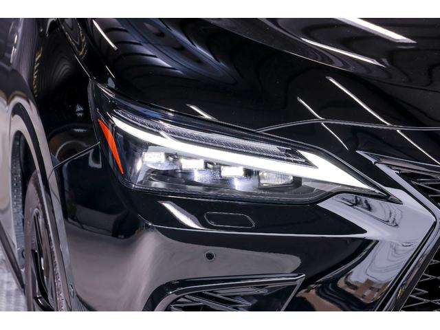 �O��t���k�d�c�w�b�h���C�g�B�܂�≩�΂݂��Ȃ��N���A�ȏ�ԁB�_���E����������ŁA��ԑ��s�ł����S�ł��鎋�F����ۂ��Ă��܂��B