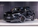 ＮＸ３５０ｈ　Ｆスポーツ　パノラマルーフ　マークレビンソン　ＴＲＤエアロ（Ｆ．Ｓ．Ｒ）　ブラックルーフレール　デジタルインナーミラー　オレンジブレーキキャリパー　ブラインドスポットモニター（34枚目）