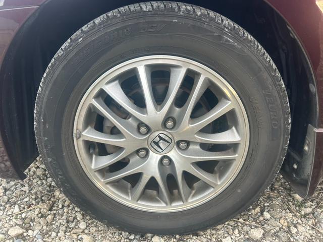 オデッセイ L(10枚目)