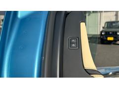 󥿥ɡ ӥɥϥɥ롡ͣԥ⡼գԡȥҡư 0520546A30251109W001 6