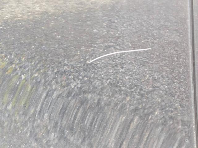 シエンタ Ｇ　助手席回転チルトシート車Ｂタイプ　７人乗り　人気のブラック／ブルーのツートンカラー　純正ナビＮ５２Ｔ－Ｗ６６Ｔ　テレビ　バックモニター　純正１６インチアルミ　左右パワースライドドア　シートヒーター（43枚目）