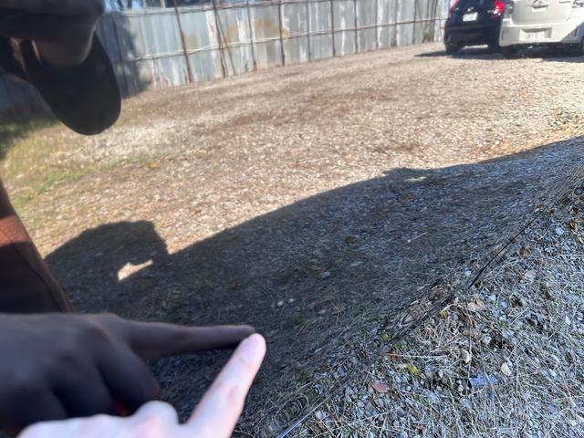 ティアナ XE(74枚目)