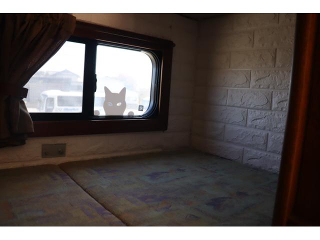 カムロード (20枚目)