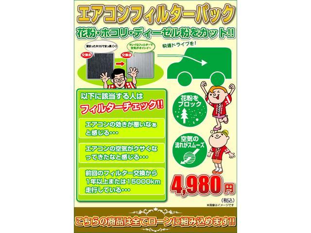 20周年記念車 レーダーブレーキ ETC シートヒーター(49枚目)