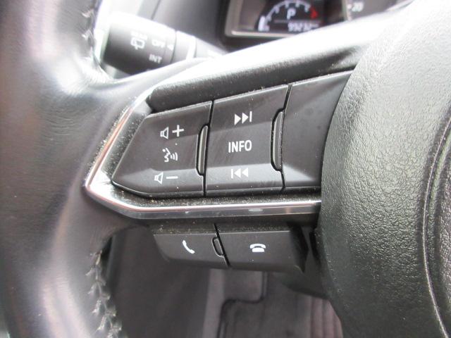 アクセラスポーツ １５ＸＤ　車検２年付き　後期型　ブレーキサポート　ディーゼルターボ　ＳＤナビ　ＢｌｕｅｔｏｏｔｈフルセグＴＶ　バックカメラ　ＥＴＣ　社外スピーカー＆ツィーター　純正１６インチアルミホイール（30枚目）