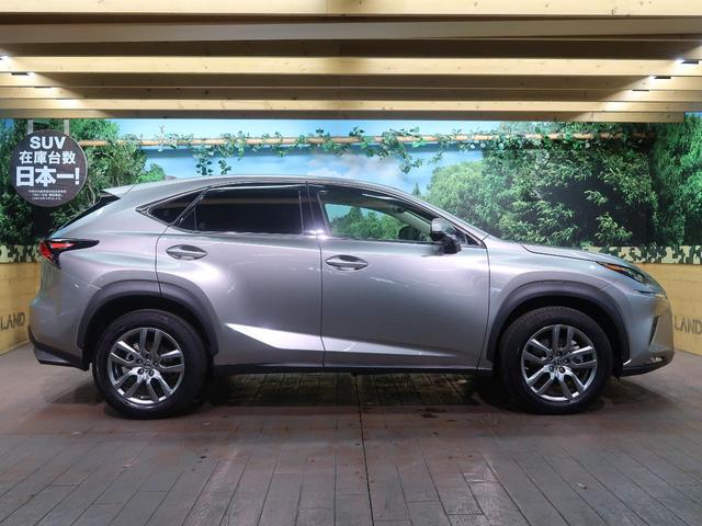 NX300 バージョンL 純正ナビTV 1オーナー 禁煙車(19枚目)