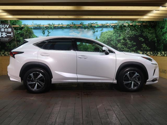 NX300 バージョンL ムーンルーフ ワンオーナー 禁煙車(19枚目)