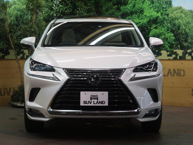 NX300 バージョンL ムーンルーフ ワンオーナー 禁煙車(20枚目)