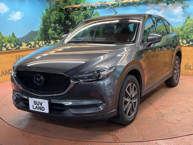 ＣＸ－５ ＸＤ　Ｌパッケージ　純正ナビ　全周囲カメラ　レーダークルーズ　ブラインドスポットモニター　車線逸脱警報　シートヒーター　メモリーシート　本革　パワーバックドア　ＬＥＤヘッド　純正１９インチアルミ　ＥＴＣ　フルセグＴＶ（51枚目）