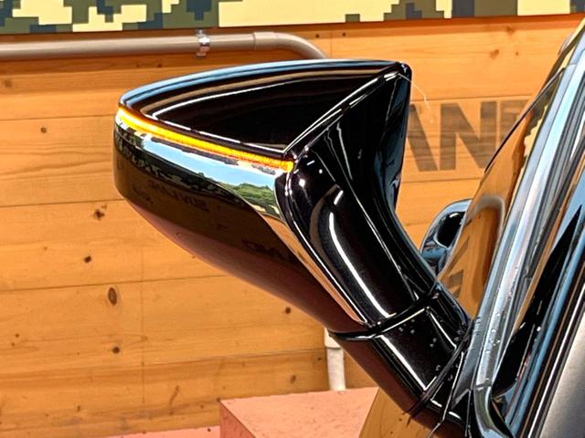 ＵＸ ＵＸ２５０ｈ　バージョンＬ　禁煙　サンルーフ　純正１０型ナビ　バックカメラ　ブラインドスポットモニター　レーダークルーズ　黒革　メモリーシート　シートベンチレーション　電動リアゲート　三眼ＬＥＤヘッド　オートハイビーム　ＥＴＣ（27枚目）