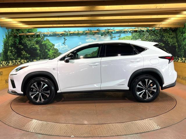 ＮＸ ＮＸ３００ｈ　Ｆスポーツ　４ＷＤ　禁煙　純正１０型ナビ　全周囲カメラ　ブラインドスポットモニター　レーダークルーズ　黒革　メモリーシート　シートベンチレーション　電動リアゲート　三眼ＬＥＤヘッド　オートハイビーム　ＥＴＣ（18枚目）