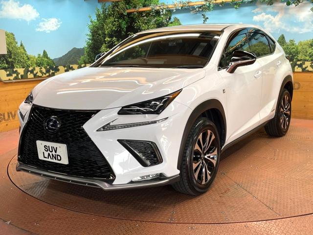 ＮＸ ＮＸ３００ｈ　Ｆスポーツ　４ＷＤ　禁煙　純正１０型ナビ　全周囲カメラ　ブラインドスポットモニター　レーダークルーズ　黒革　メモリーシート　シートベンチレーション　電動リアゲート　三眼ＬＥＤヘッド　オートハイビーム　ＥＴＣ（59枚目）