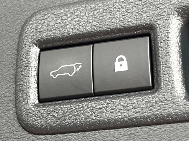 ＮＸ ＮＸ３００ｈ　Ｆスポーツ　４ＷＤ　禁煙　純正１０型ナビ　全周囲カメラ　ブラインドスポットモニター　レーダークルーズ　黒革　メモリーシート　シートベンチレーション　電動リアゲート　三眼ＬＥＤヘッド　オートハイビーム　ＥＴＣ（65枚目）