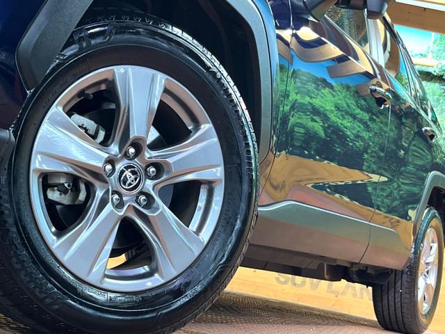 ＲＡＶ４ Ｘ　禁煙　純正ナビ　バックカメラ　ブラインドスポットモニター　レーダークルーズ　セーフティーセンス　ブラインドスポットモニター　ＬＥＤヘッド　純正１７インチアルミ　オートハイビーム　横滑り防止装置　ＥＴＣ（15枚目）