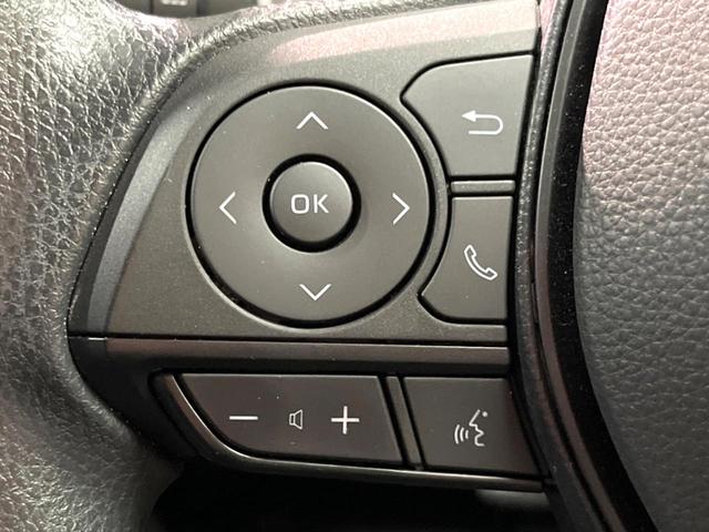 ＲＡＶ４ Ｘ　禁煙　純正ナビ　バックカメラ　ブラインドスポットモニター　レーダークルーズ　セーフティーセンス　ブラインドスポットモニター　ＬＥＤヘッド　純正１７インチアルミ　オートハイビーム　横滑り防止装置　ＥＴＣ（33枚目）