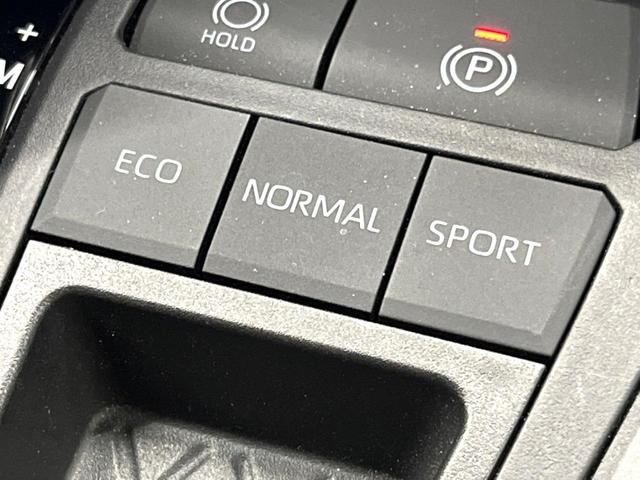 ＲＡＶ４ Ｘ　禁煙　純正ナビ　バックカメラ　ブラインドスポットモニター　レーダークルーズ　セーフティーセンス　ブラインドスポットモニター　ＬＥＤヘッド　純正１７インチアルミ　オートハイビーム　横滑り防止装置　ＥＴＣ（46枚目）