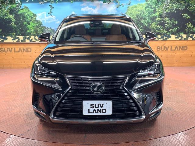 NX NX300 Iパッケージ 禁煙 純正10型ナビ 全周囲カメラ レーダークルーズ ブラインドスポットモニター 三眼LEDヘッド オートハイビーム 電動リアゲート メモリーシート クリアランスソナー 純正17アルミ ETC(17枚目)