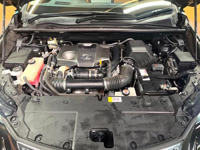 NX NX300 Iパッケージ 禁煙 純正10型ナビ 全周囲カメラ レーダークルーズ ブラインドスポットモニター 三眼LEDヘッド オートハイビーム 電動リアゲート メモリーシート クリアランスソナー 純正17アルミ ETC(19枚目)