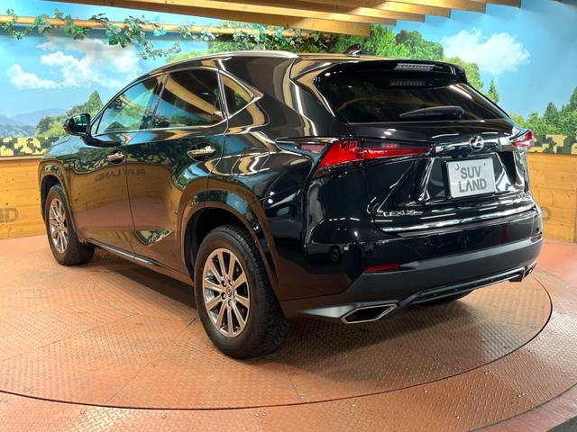 NX NX300 Iパッケージ 禁煙 純正10型ナビ 全周囲カメラ レーダークルーズ ブラインドスポットモニター 三眼LEDヘッド オートハイビーム 電動リアゲート メモリーシート クリアランスソナー 純正17アルミ ETC(54枚目)