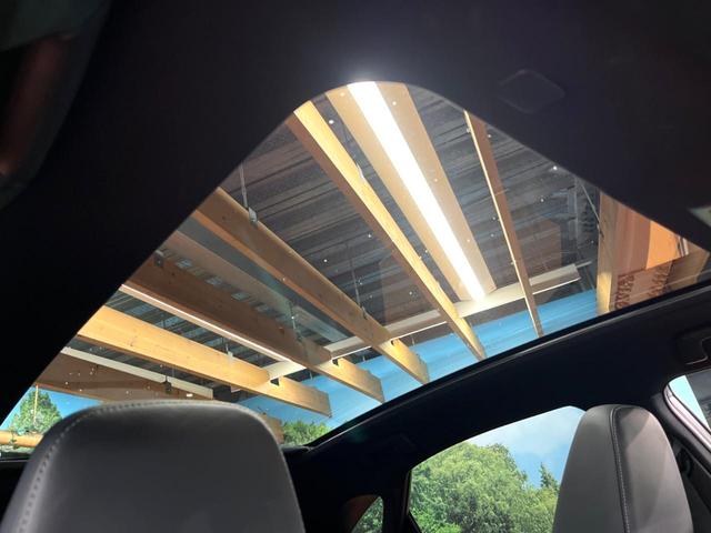 NX NX300h Fスポーツ 4WD 禁煙 パノラマルーフ TRDエアロ 10型ナビ 全周囲カメラ レーダークルーズ ブラインドスポットモニター 電動リアゲート 黒革 シートベンチレーション 三眼LEDヘッド 純19アルミ ETC(3枚目)