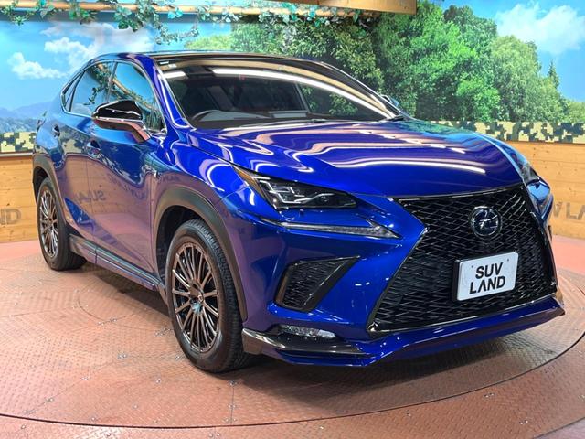 NX NX300h Fスポーツ 4WD 禁煙 パノラマルーフ TRDエアロ 10型ナビ 全周囲カメラ レーダークルーズ ブラインドスポットモニター 電動リアゲート 黒革 シートベンチレーション 三眼LEDヘッド 純19アルミ ETC(57枚目)