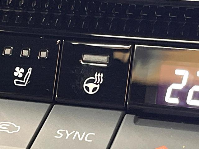 ランドクルーザー250 VX サンルーフ 丸目LEDヘッド 純正12型ナビ 全周囲カメラ ブラインドスポットモニター デジタルミラー レーダークルーズ 電動リアゲート 黒革 シートベンチレーション 純正18アルミ ETC(49枚目)