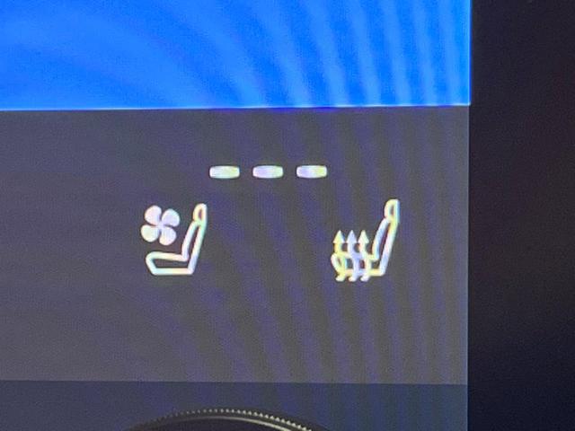 アルファード Z 禁煙 ガラスルーフ ユニバーサルステップ フリップダウン 純正14型ナビ 全周囲カメラ ブラインドスポットモニター デジタルミラー レーダークルーズ 三眼LEDヘッド シートベンチレーション ETC(11枚目)