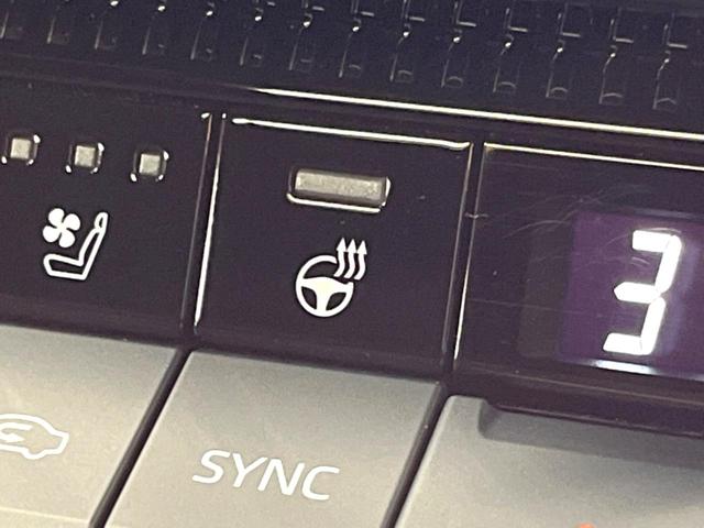 ランドクルーザー250 VX 禁煙 サンルーフ 12型ディスプレイオーディオ 全周囲カメラ レーダークルーズ ブラインドスポットモニター デジタルミラー パワーバックドア 本革シート ベンチレーション 丸目LEDヘッド ETC(10枚目)